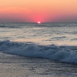 Meet your Posher, Chad